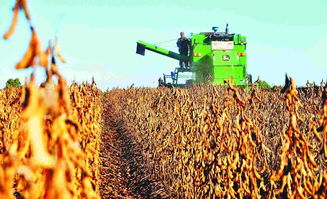 國家大豆產(chǎn)業(yè)技術(shù)體系首席科學(xué)家韓天富 大豆種業(yè)挑戰(zhàn)與機遇并存