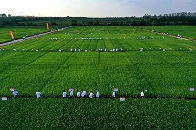 強(qiáng)信心&middot;走進(jìn)百企|用技術(shù)創(chuàng)新守牢種業(yè)&ldquo;中國芯&rdquo;