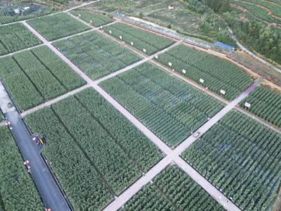 福建圓旺元種子集團蔬菜種業科技小院成功入圍中國農技科技小院名單