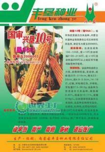 興墾10號玉米種子 產(chǎn)品信息與廠家供應(yīng)詳情