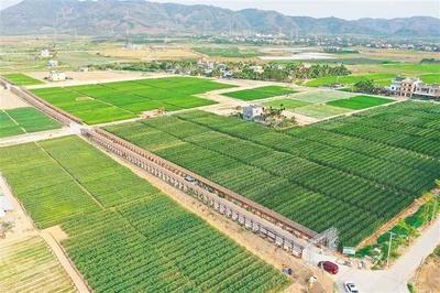 海墾南繁產業集團 深度參與南繁產業建設，打造種業新力量