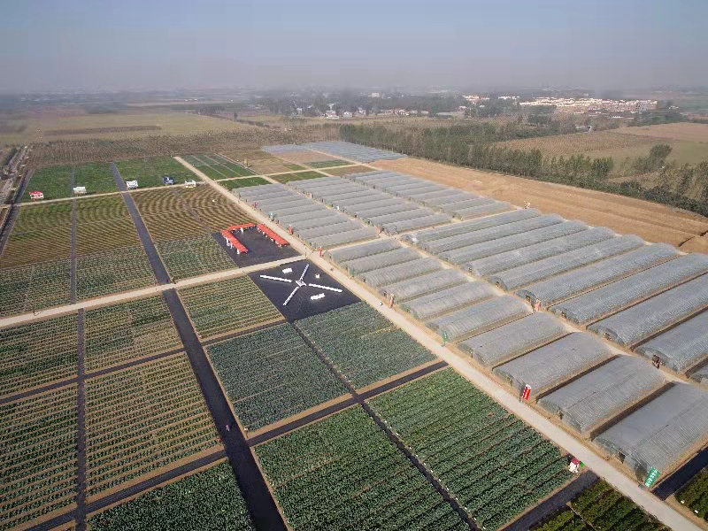 種業小鎮賦能農業強'芯'，構筑現代農業新引擎