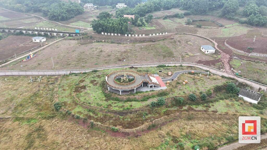 永安鎮(zhèn)大豆種業(yè)基地豐收喜人，2000畝油菜輪種續(xù)寫(xiě)豐收篇章